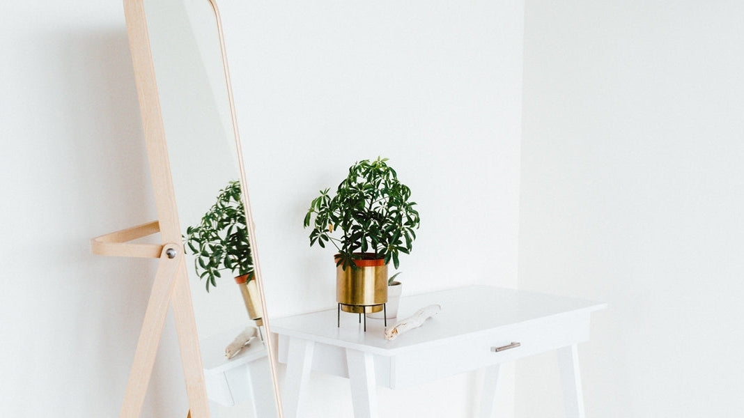 Esther's Guide to an Indoor Paradise-ESTHER & CO.