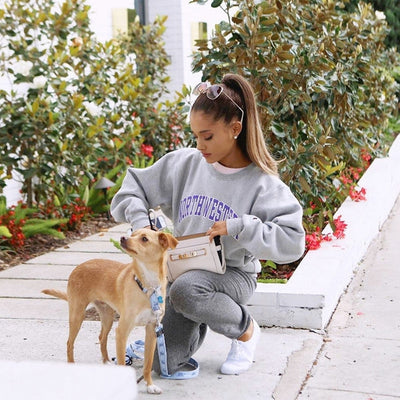 Celebrities and their cute pets!!