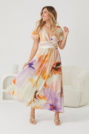 Alizia Dress - Multi Print